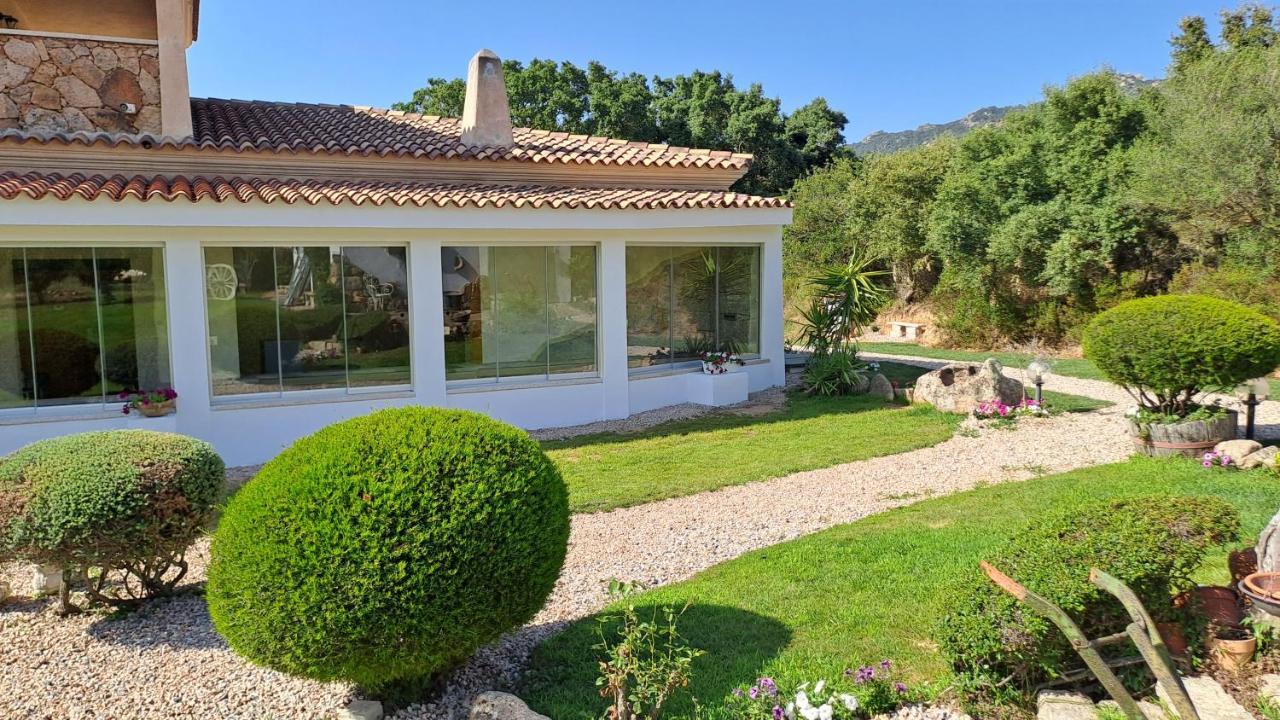 B&B La Chintina Sant'Antonio di Gallura Exterior foto
